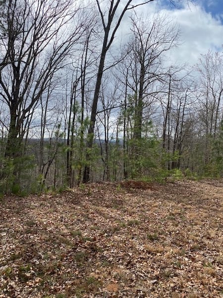 Ellijay, GA 30540 Gilmer County