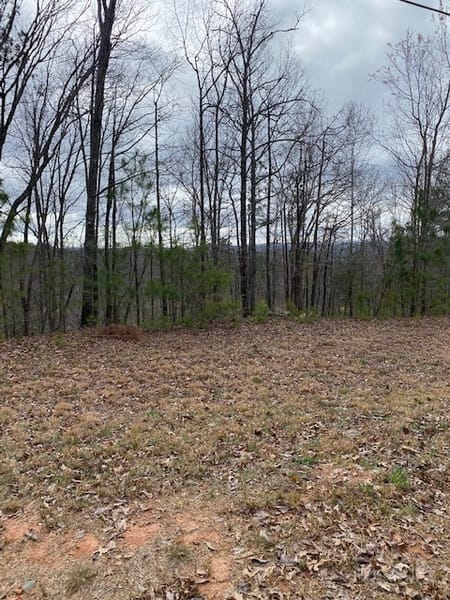 Ellijay, GA 30540 Gilmer County