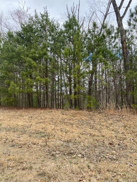 Ellijay, GA 30540 Gilmer County