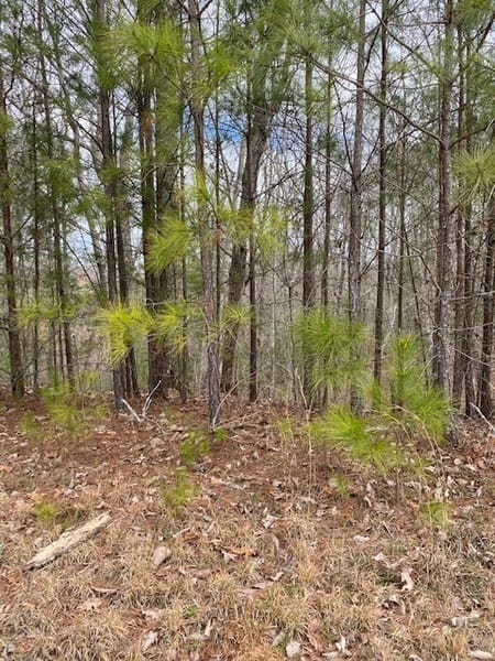 Ellijay, GA 30540 Gilmer County
