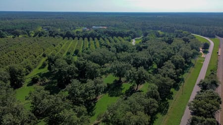 Plains, GA 31780 Sumter County