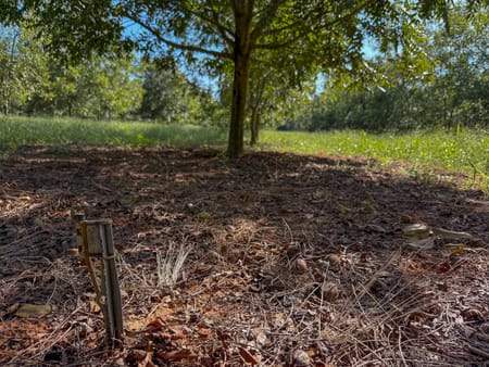 Plains, GA 31780 Sumter County