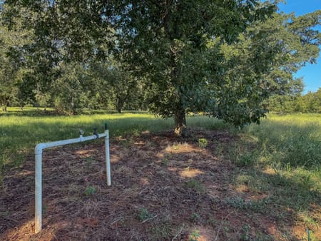 Plains, GA 31780 Sumter County