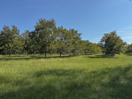 Plains, GA 31780 Sumter County