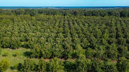 Plains, GA 31780 Sumter County