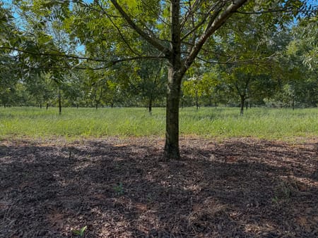 Plains, GA 31780 Sumter County