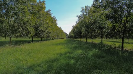 Plains, GA 31780 Sumter County