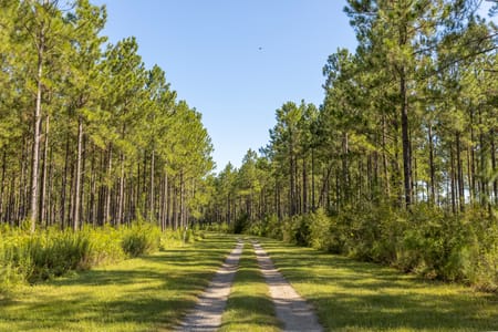 Smithville, GA 31787 Lee County