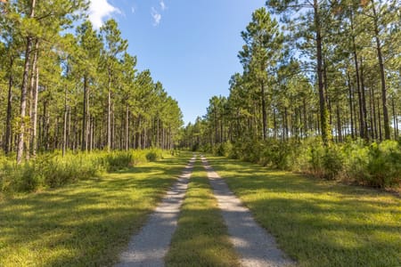Smithville, GA 31787 Lee County