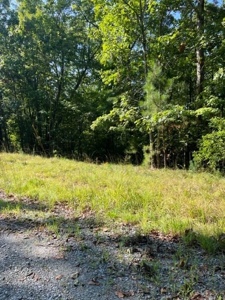 Ellijay, GA 30540 Gilmer County