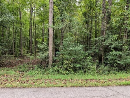 Martin, GA 30557 Stephens County