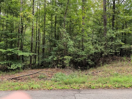 Martin, GA 30557 Stephens County