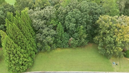 Clarkesville, GA 30523 Habersham County