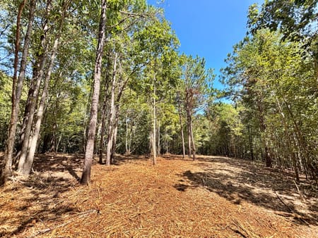 Lizella, GA 31052 Bibb County