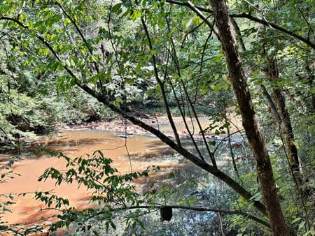Lizella, GA 31052 Bibb County