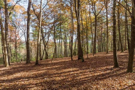 Ellijay, GA 30536 Gilmer County