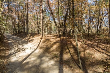 Ellijay, GA 30536 Gilmer County