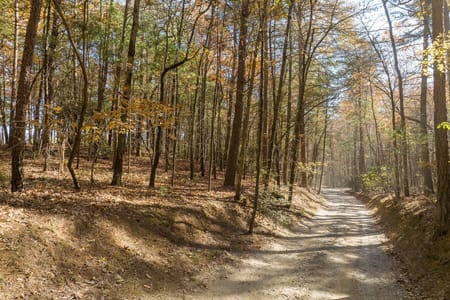 Ellijay, GA 30536 Gilmer County