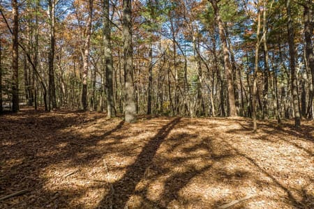 Ellijay, GA 30536 Gilmer County
