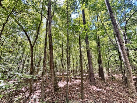 Lizella, GA 31052 Bibb County