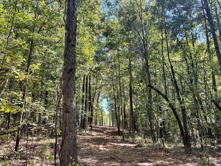 Lizella, GA 31052 Bibb County