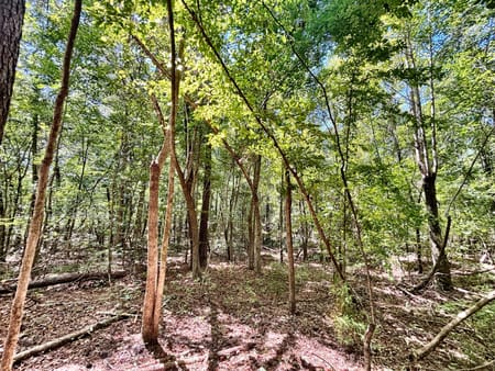 Lizella, GA 31052 Bibb County