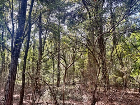 Lizella, GA 31052 Bibb County