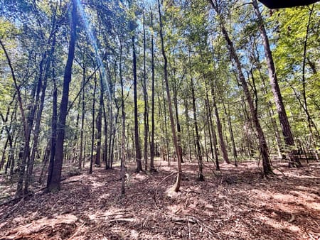Lizella, GA 31052 Bibb County