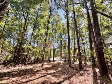 Lizella, GA 31052 Bibb County