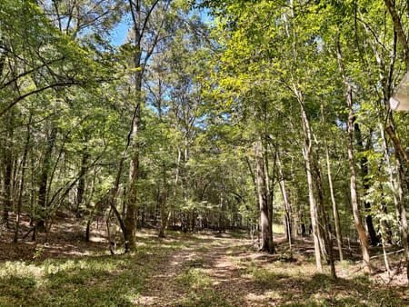 Lizella, GA 31052 Bibb County