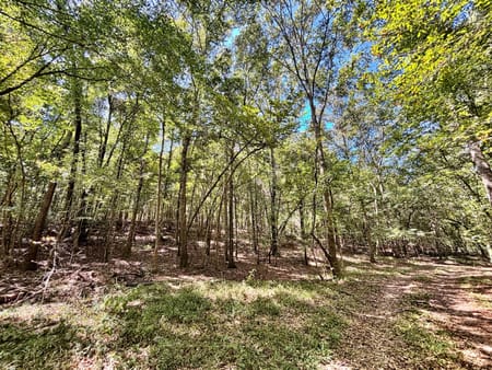 Lizella, GA 31052 Bibb County
