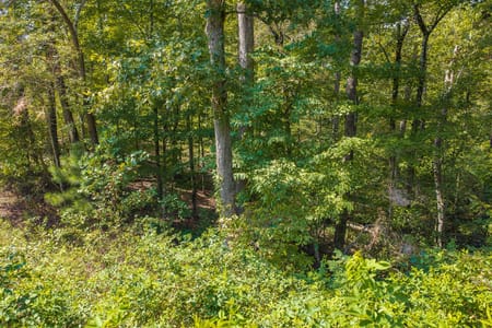 Talking Rock, GA 30175 Gilmer County