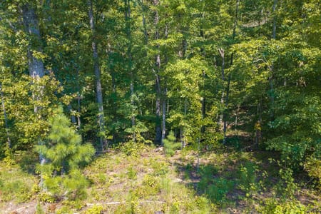 Talking Rock, GA 30175 Gilmer County