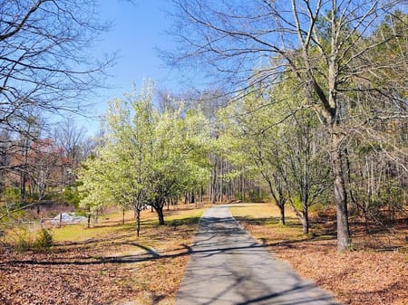Villa Rica, GA 30180 Carroll County