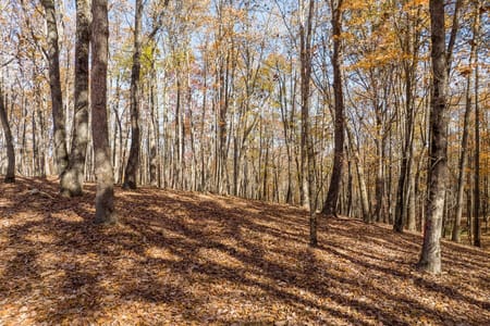 Ellijay, GA 30536 Gilmer County