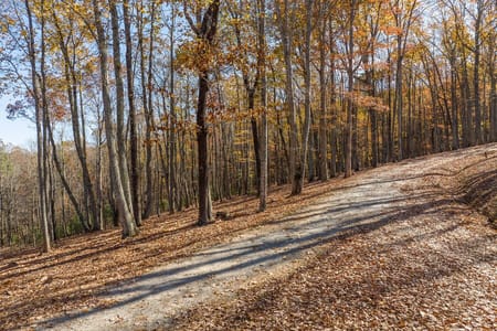 Ellijay, GA 30536 Gilmer County
