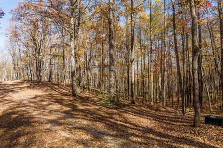 Ellijay, GA 30536 Gilmer County