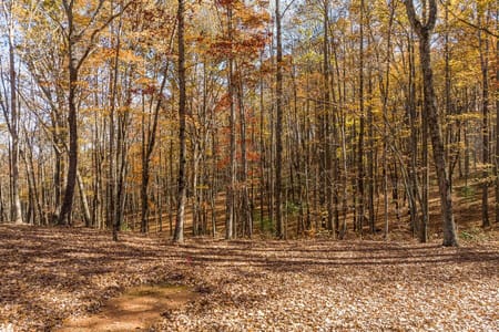 Ellijay, GA 30536 Gilmer County