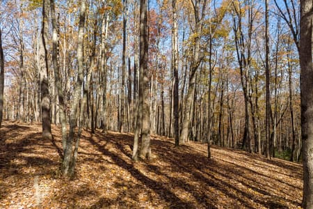 Ellijay, GA 30536 Gilmer County