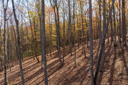 Ellijay, GA 30536 Gilmer County