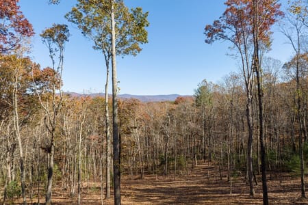 Ellijay, GA 30536 Gilmer County