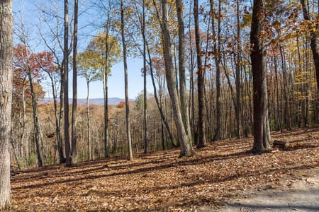 Ellijay, GA 30536 Gilmer County