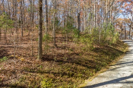 Ellijay, GA 30536 Gilmer County