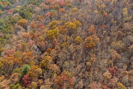 Ellijay, GA 30536 Gilmer County