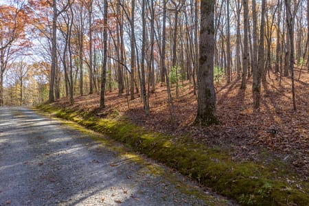 Ellijay, GA 30536 Gilmer County