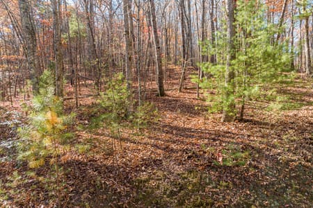 Ellijay, GA 30536 Gilmer County