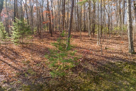 Ellijay, GA 30536 Gilmer County
