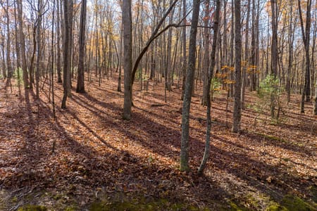 Ellijay, GA 30536 Gilmer County