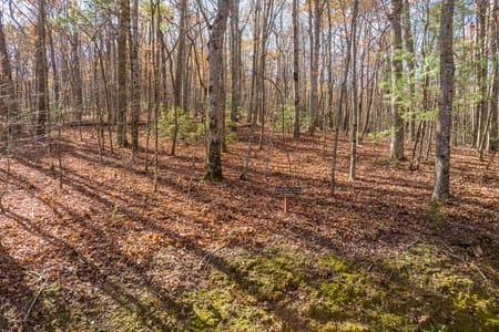 Ellijay, GA 30536 Gilmer County