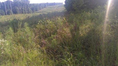 Conyers, GA 30094 Rockdale County